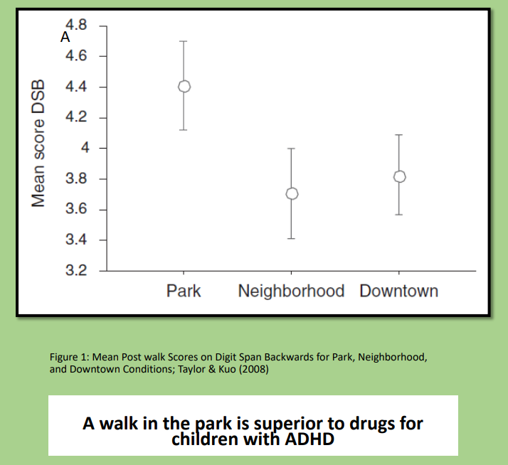 <p>A walk in the park is superior to drugs for children with ADHD</p>