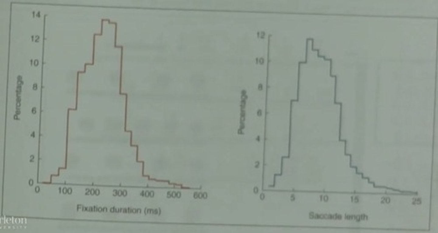 <p>Fixations and saccades.</p>