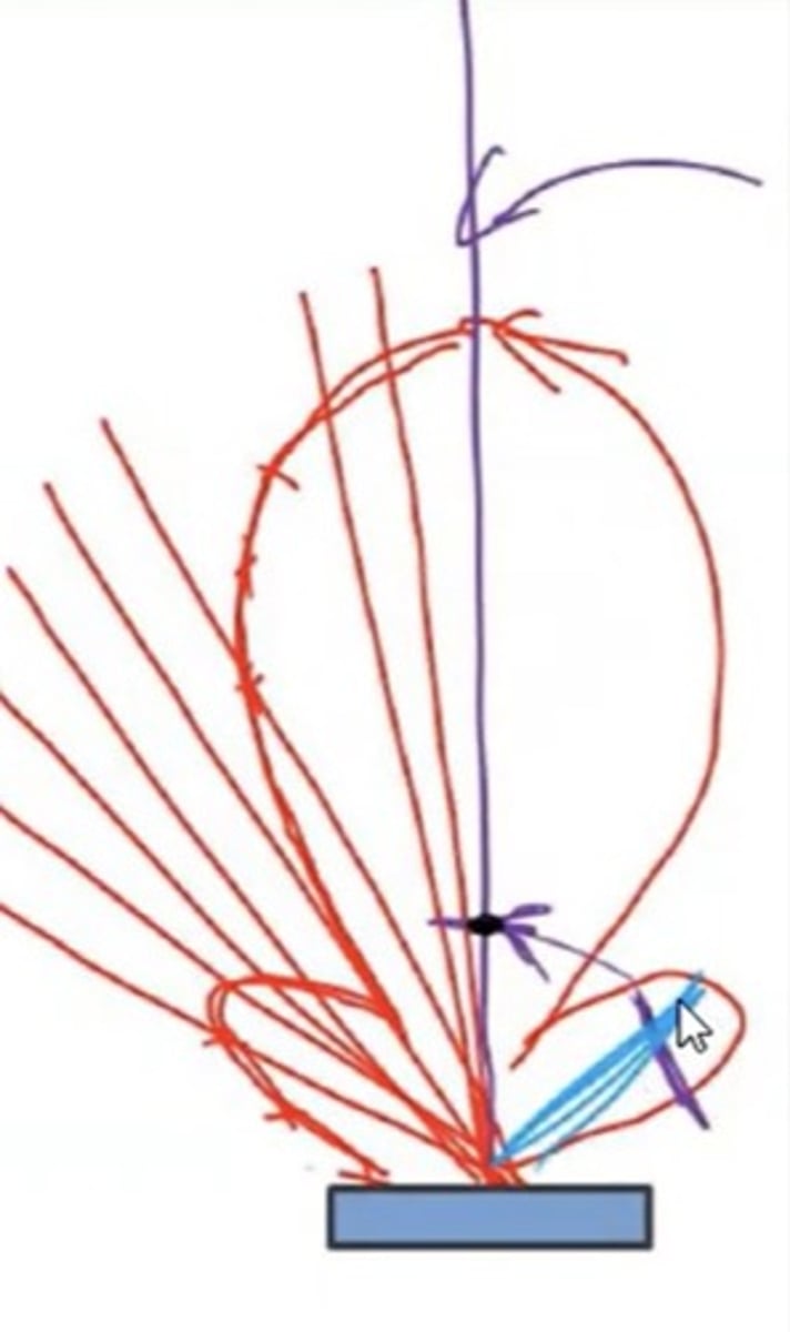 <p>Significant energy outside of main beam</p><p>Create artifacts or noise i</p><p>"Grating lobes" in linear transducers</p><p>Best seen in anechoic structures</p><p>More in CW transducers</p>