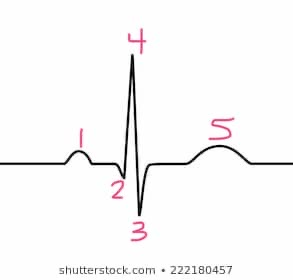 <p>2</p>