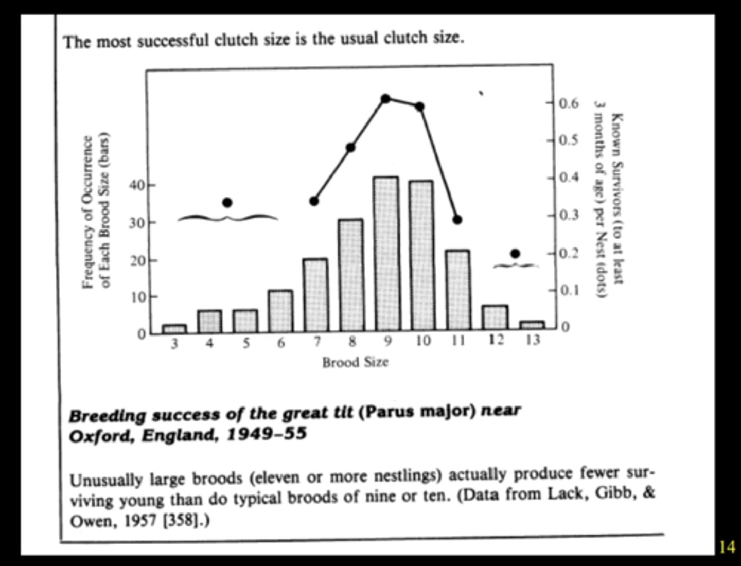 <p>idea to have less children so that the population can be supported better<br><br>the !Kung are constrained by their circumstances, so to have more kids would not = more survivors</p>