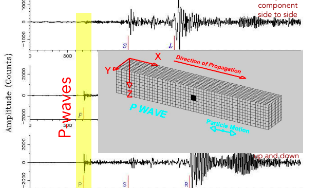 <p>A type of seismic wave that compresses and expands the ground. Always arrive first.</p>