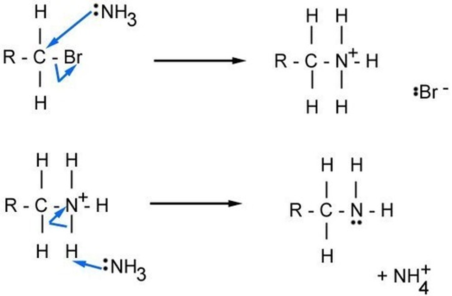 <p>HALOGENOALKANE to AMINE</p><p>Reagent: NH3 dissolved in ethanol</p><p>Conditions: heat under pressure</p><p>Mechanism: nucleophilic substitution</p><p>Type of reagent: Nucleophile, :NH3</p><p>CH3CH2Br + 2NH3 → CH3CH2NH2 + NH4Br</p>