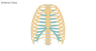 <p>label this image</p>