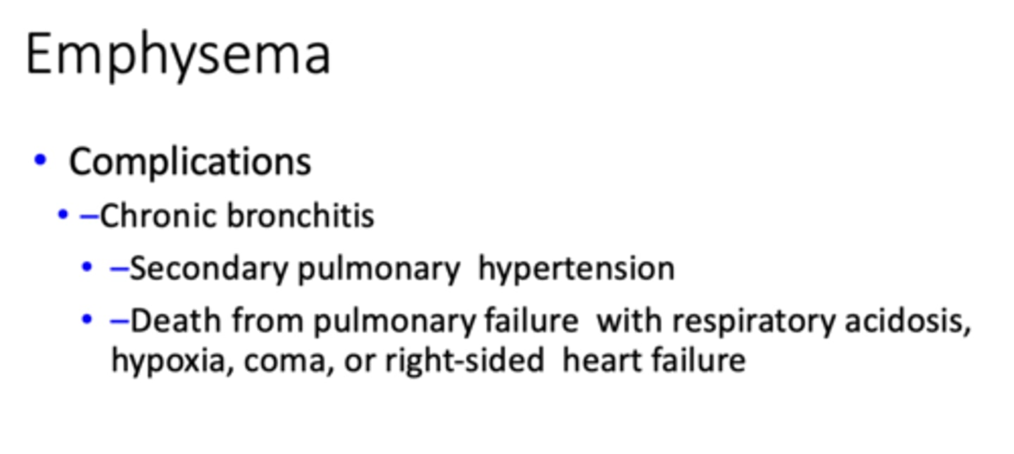<p>Chronic bronchitis</p>