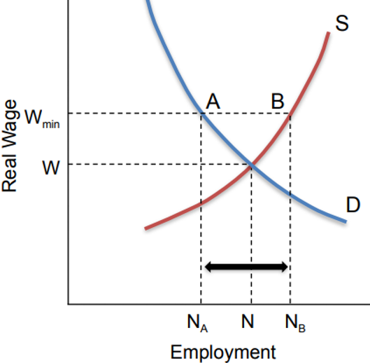 <ul><li><p><span style="font-family: &quot;Open Sans&quot;, sans-serif">Setting a minimum wage (Wmin) above equilibrium (W) creates (NB – NA ) unemployment&nbsp;</span></p></li><li><p><span style="font-family: &quot;Open Sans&quot;, sans-serif">Workers who find a minimum-wage job get a higher wage&nbsp;</span></p><ul><li><p><span style="font-family: &quot;Open Sans&quot;, sans-serif">Others are unemployed</span></p></li></ul></li><li><p><span style="font-family: &quot;Open Sans&quot;, sans-serif">Unemployment insurance</span></p></li><li><p><span style="font-family: &quot;Open Sans&quot;, sans-serif">To work efficiently, unemployment benefits should be&nbsp;</span></p><ul><li><p><span style="font-family: &quot;Open Sans&quot;, sans-serif">For a limited time&nbsp;</span></p></li><li><p><span style="font-family: &quot;Open Sans&quot;, sans-serif">Less than the income received when working&nbsp;</span></p></li></ul></li></ul><p></p>