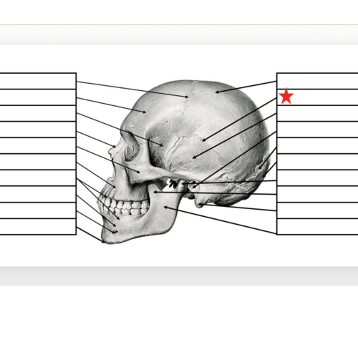 <p>What is this?</p>