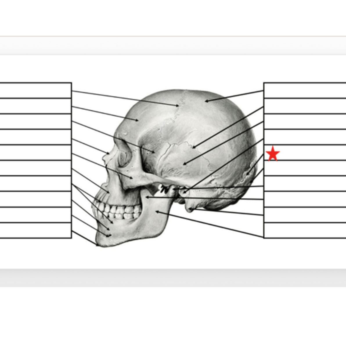 <p>What is this?</p>