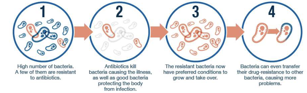 <ul><li><p>Antibiotic resistance → relapsing infections</p></li><li><p>Harms gut microbiome</p></li><li><p>Rising concern for multi-drug resistance</p></li></ul><p></p>