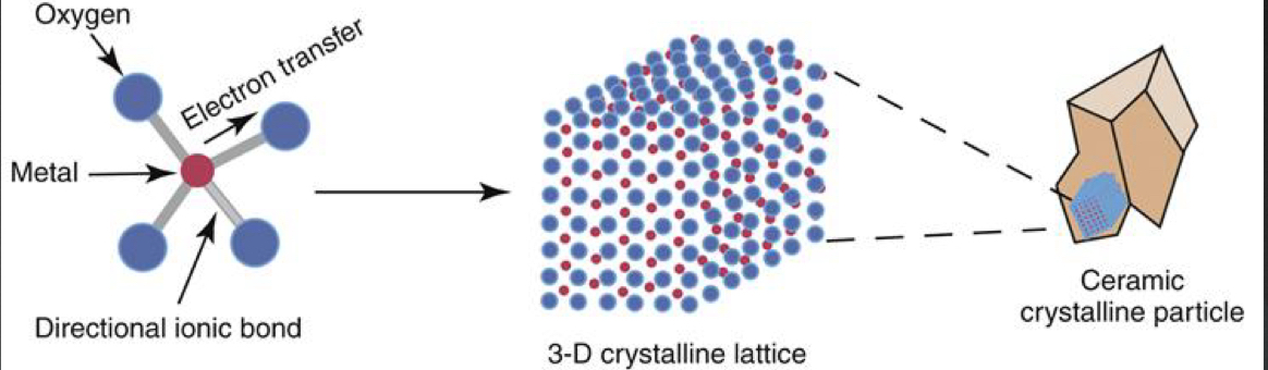 <p>Ceramics contain <strong>strong directional ionic bonds</strong> between metal and oxygen- provide <strong>strength</strong>, <strong>intolerant to distortion</strong>- makes brittle </p><p>Metal and oxygen form 3D crystalline lattice</p>
