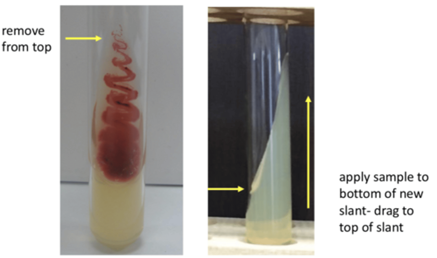 <p>- remove from top of original slant</p><p>- apply to bottom of new slant and then drag from bottom of slant to top of it</p><p>- make sure you mention flaming loop and neck of tubes!!</p>