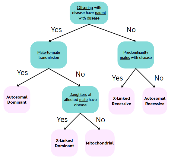 <p>Algorithm</p>