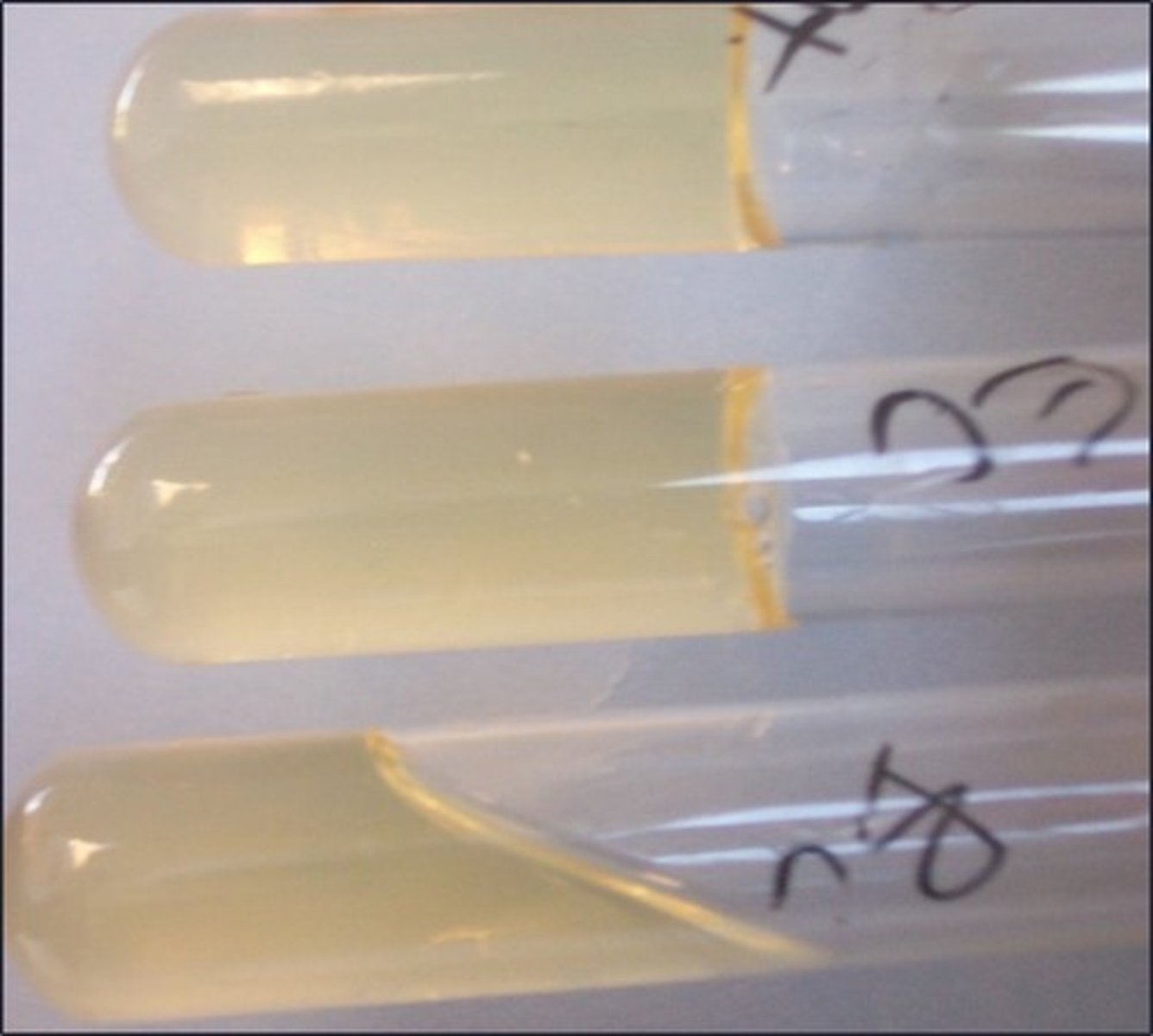 <p>This test detects:</p>