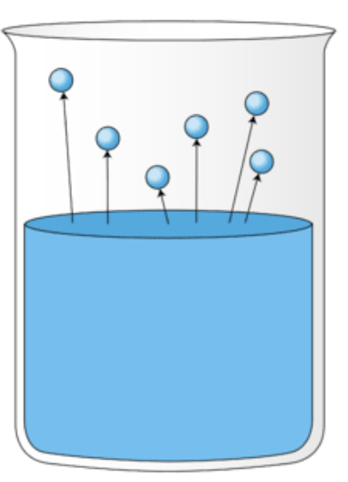 <p>What is happening in this image? </p>