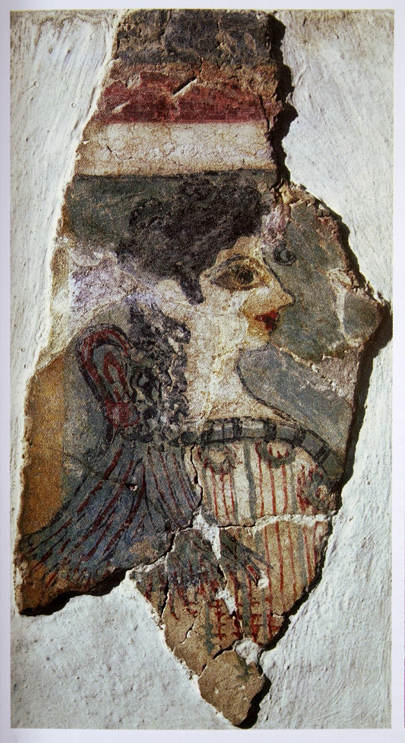 term image