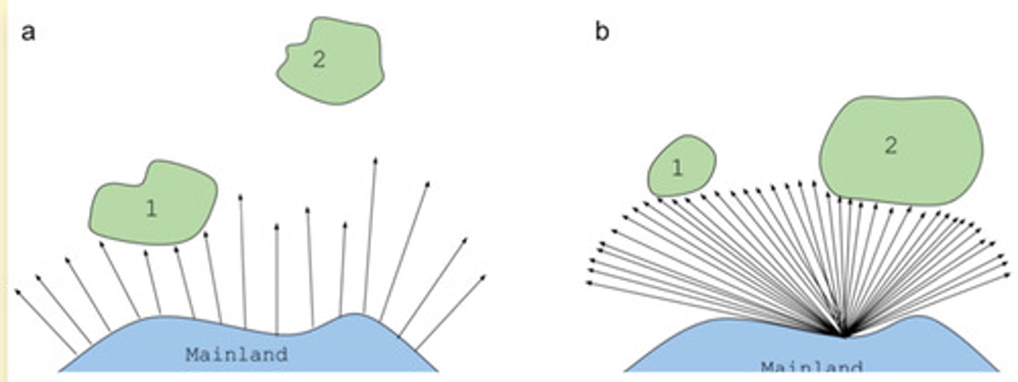 <p>- the distance of the island from the mainland</p><p>- the size of the island</p>