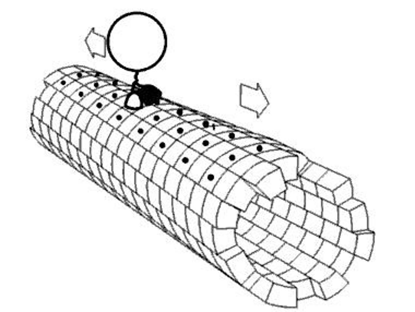 <p>Thick, hollow tubes made of protein subunits that move things around in the cell.</p>