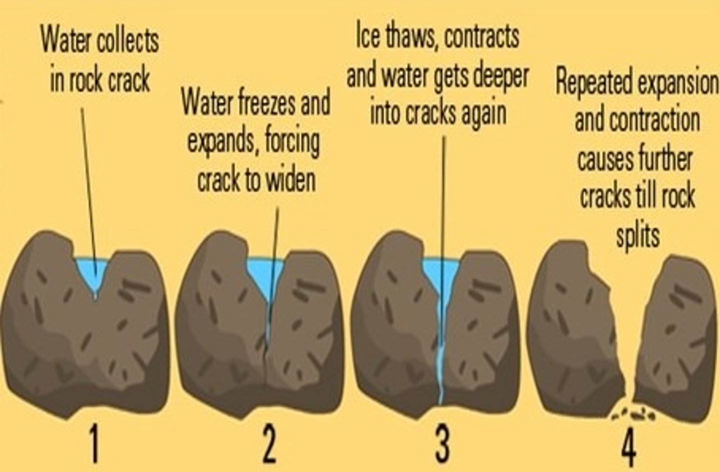 <p>•water dringt in scheuren in gesteente, bevriest en zet uit > gesteente breekt en los materiaal wordt door gletsjer meegevoerd</p>