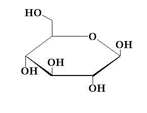 <p>6 carbon sugar</p>