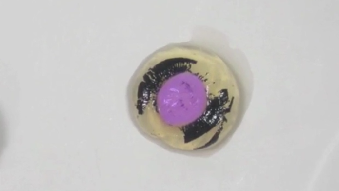 <p>Lens </p>