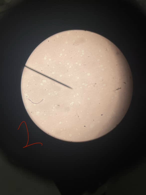 <p>a) What type of tissue? (C, E, N, M)</p><p>b) Name the actual tissue</p>