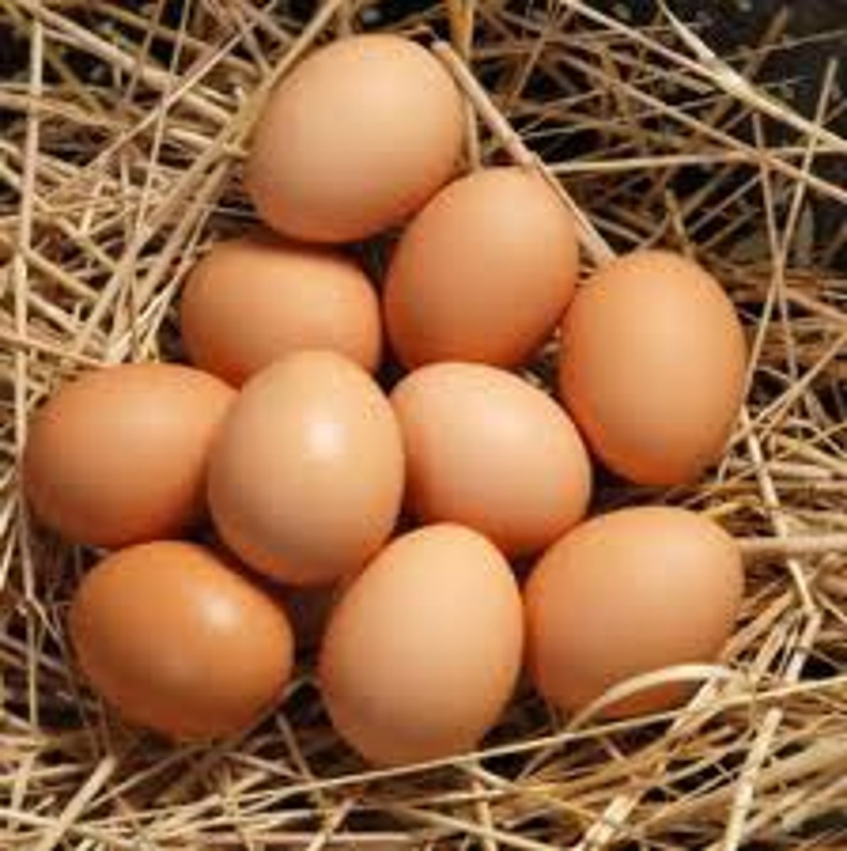 <p>some eggs</p>