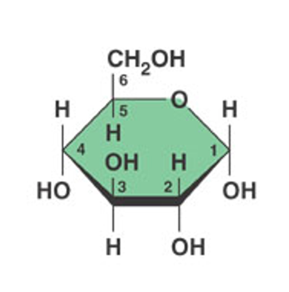 <p>How many carbons does this glucose have?</p>