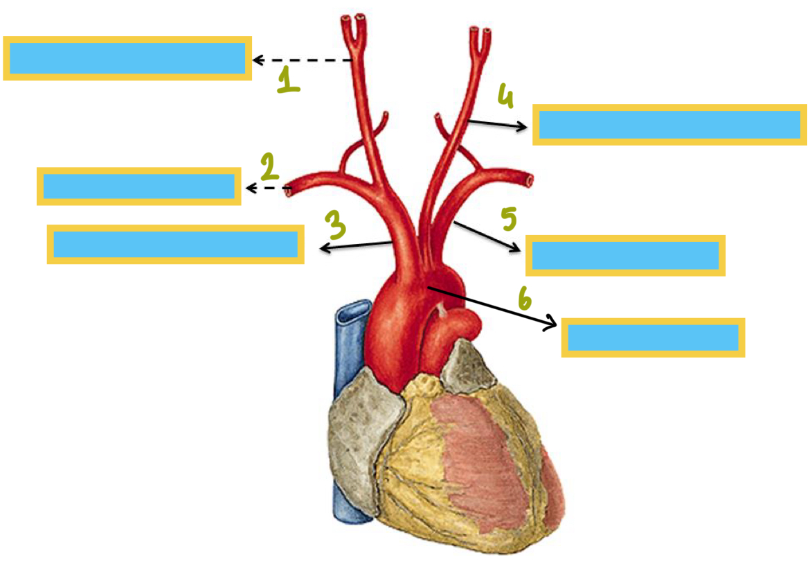 <p>3</p>