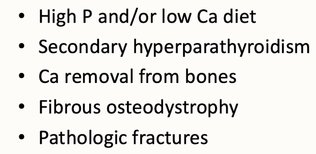 <p>It affects their bone health and metabolic functions. Nutritional secondary hyperparathyroidism occurs when inadequate calcium leads to excess parathyroid hormone secretion, resulting in weakened bones and other physiological issues. </p>