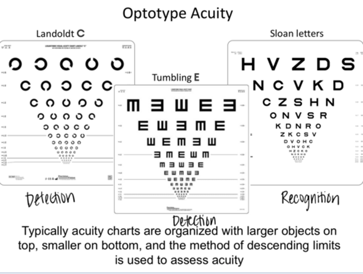 <p>The method of ______ is used to assess acuity</p>