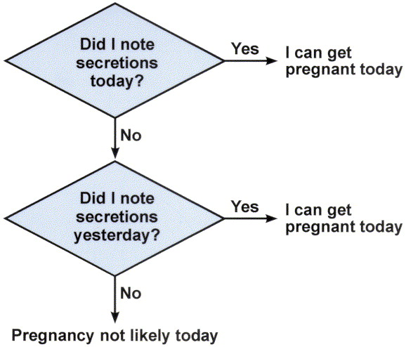 <p>sx based method that involves checking for vaginal secertions daily, with o analysis ofs ecertions </p>