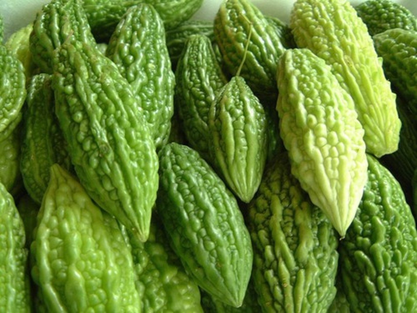 <p>Karela (Karli)</p>