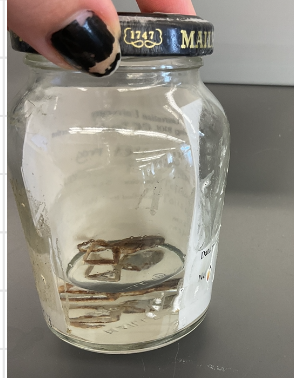 <p>Acris blanchardi</p><p>Blanchard's cricket frog</p><p>Extripated from Ontario</p><p>Family Hylidae</p><p>Tree Frog</p><p>Mostly aquatic</p><p>Spots on back</p><p>Has a green line splot on bWhat ack</p><p>Warty projections on back</p><p>Has a triangle blotch on head</p><p>Bellies are white</p><p>Found Pelee Island in Lake Erie</p>