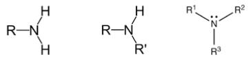 <p>What type/class of organic compound has this structure?</p>