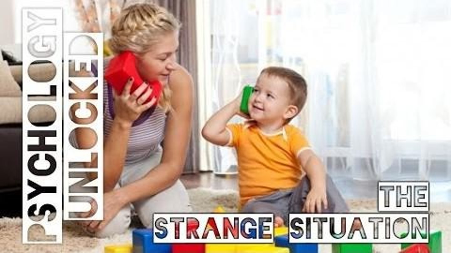 <p>It assesses attachment styles between infants and their caregivers.</p>