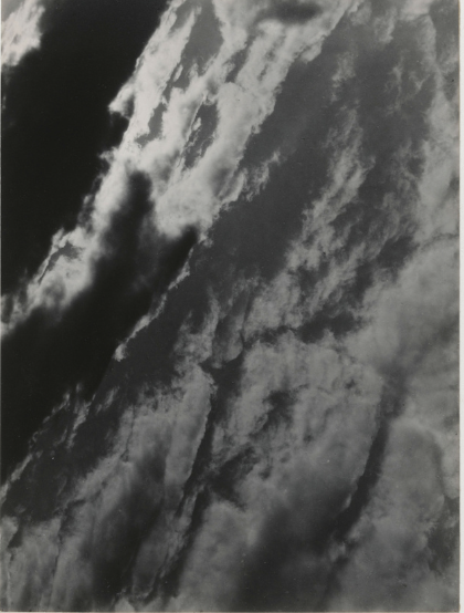 <p>Stieglitz</p>