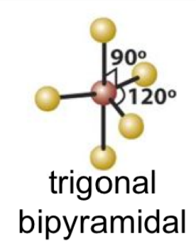trigonal bipyrimidal 