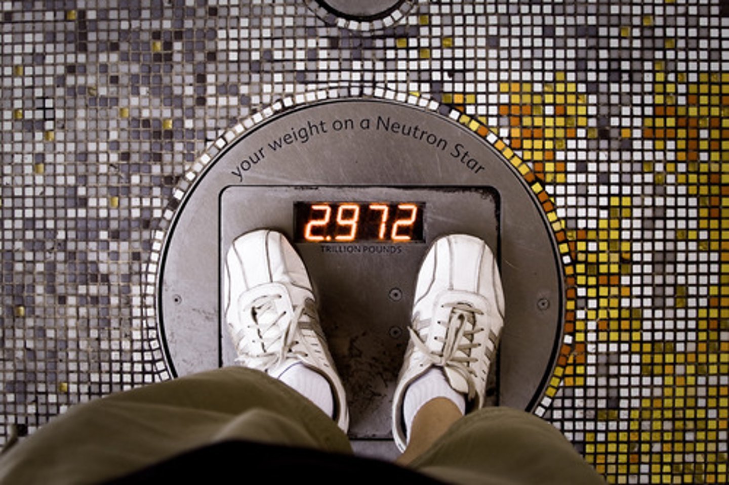 <p>weight, pounds</p>