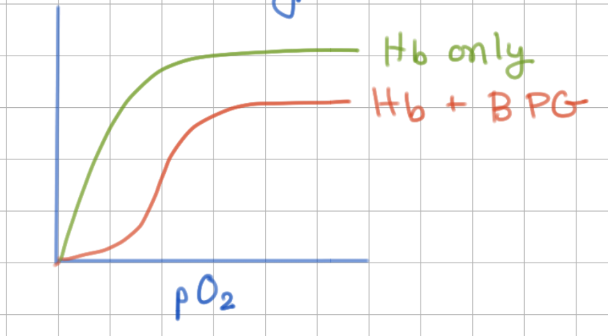 <p>inhibits (causes sigmoid bonding)</p>