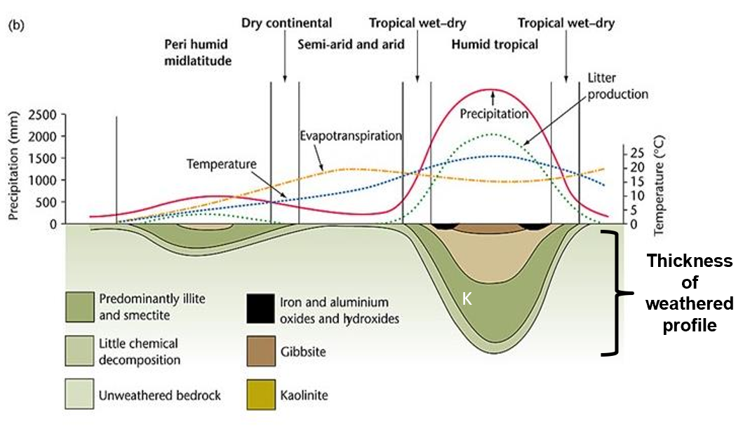 <ul><li><p>areas of high rasinfall provide water that is necessary for chem weathering</p></li><li><p>cold areas - water is in solid plase so cannot mediate chemical reactions</p></li><li><p>hot areas - higher temp speeds up the rate of chem weathering reactions</p></li></ul><p></p>