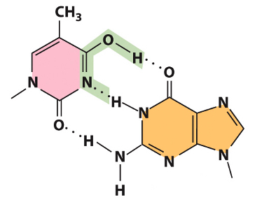 <p>Which non-standard base pair is this?</p>