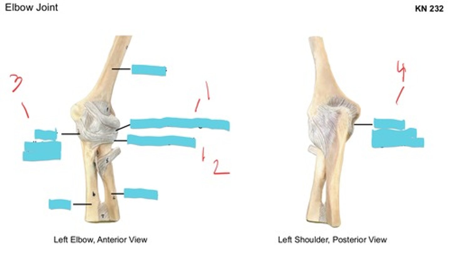 <p>1</p>