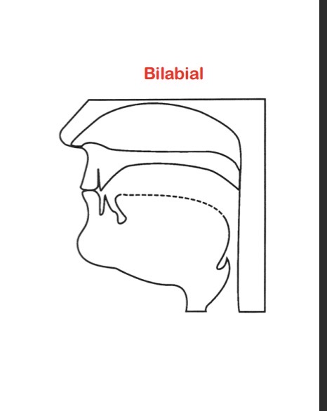<p>/m/ → Bilabial Nazalisation</p>