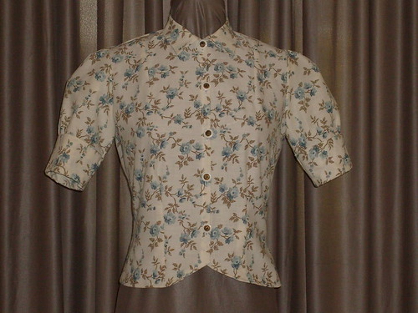 <p>the blouse</p>
