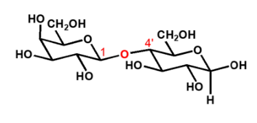 <ul><li><p>disaccharide</p><ul><li><p>glucose + galactose</p><p>‎</p></li></ul></li><li><p>opm; OH op 4’ axiaal </p></li></ul><p></p>