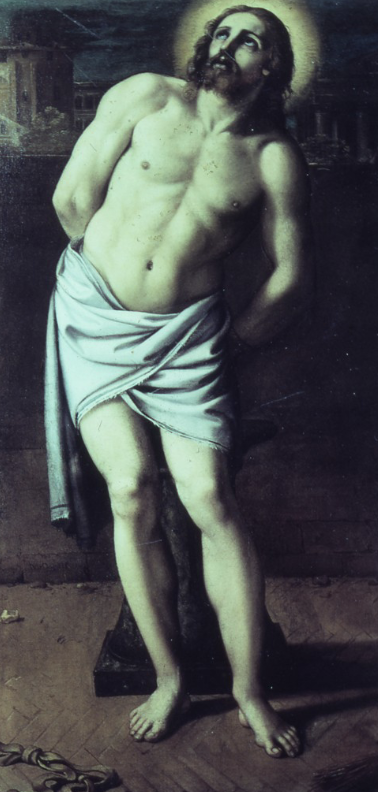 term image