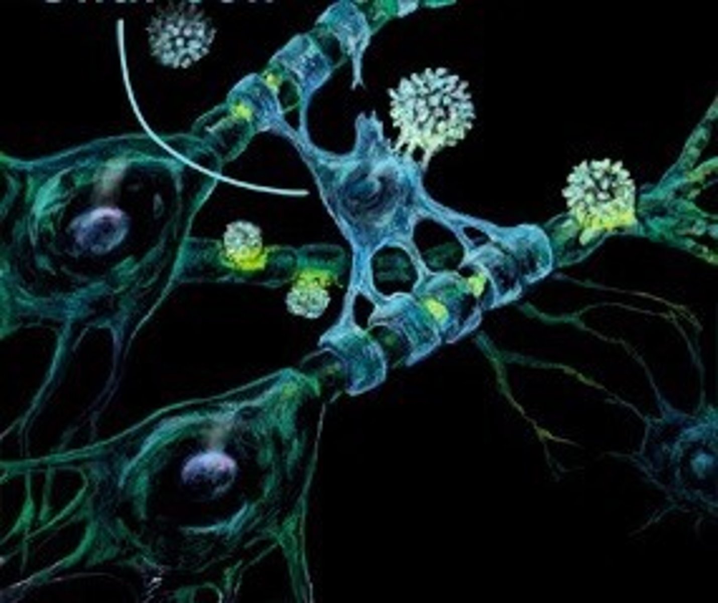 <p>the second of two types of cells in the nervous system; glial cells provide support, nutritional benefits, and other functions and keep neurons running smoothly</p>