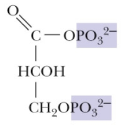 <p>Name that structure.</p>