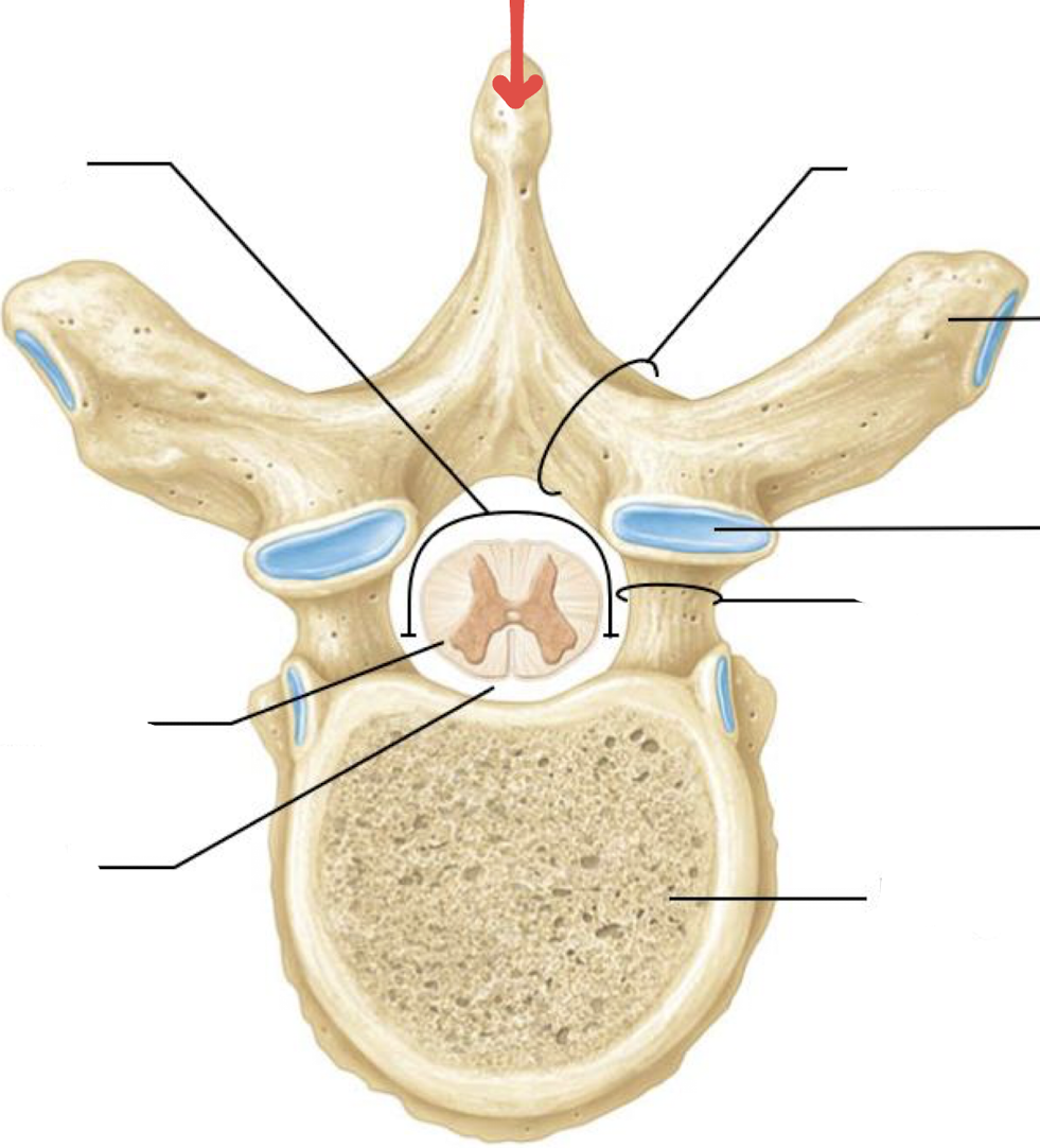 <p>what is this?</p>