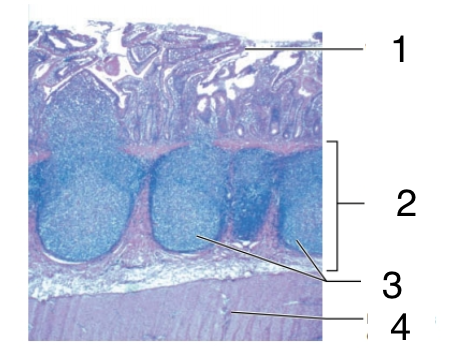 <p>2</p>